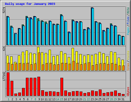 Daily usage for January 2023