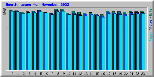 Hourly usage for November 2022