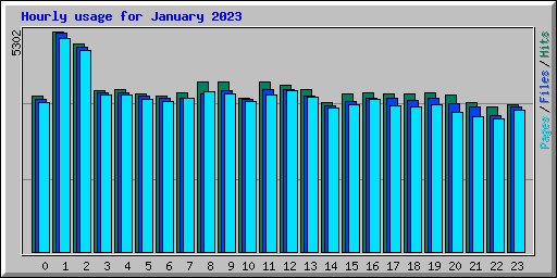 Hourly usage for January 2023