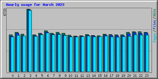 Hourly usage for March 2023
