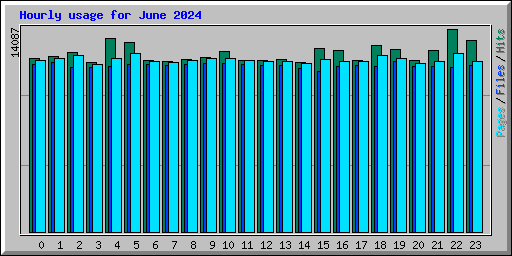 Hourly usage for June 2024