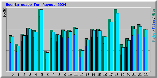 Hourly usage for August 2024